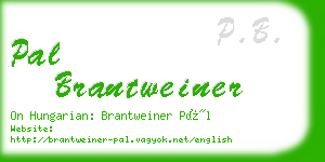 pal brantweiner business card